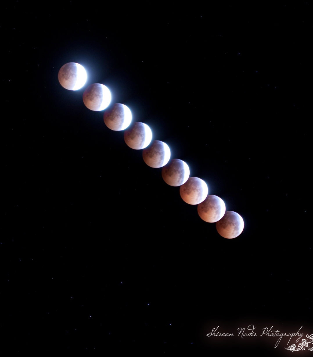 Lunar Eclipse 2010