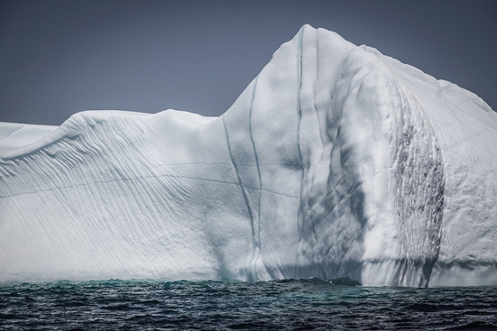 Icebergs in Newfoundland ©Shireen Nadir 2013